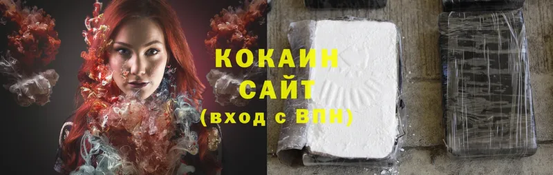 где купить   Порхов  Cocaine FishScale 