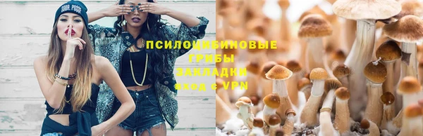 бошки Липки