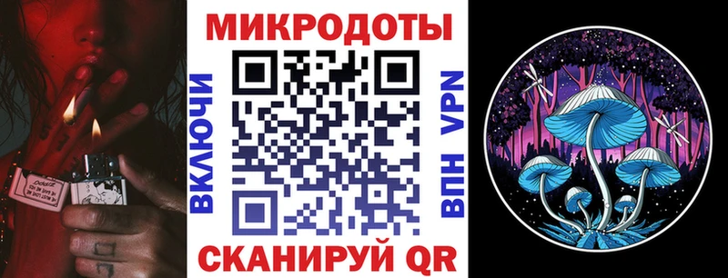 Псилоцибиновые грибы GOLDEN TEACHER  Порхов 