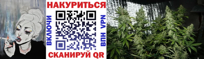 Бошки марихуана THC 21%  Порхов 